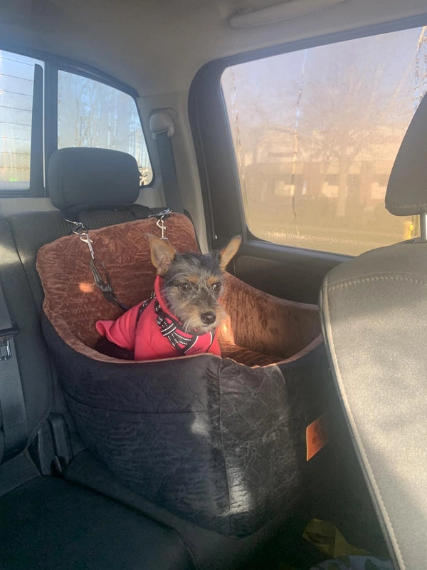 FITPET Dog Car Seat - Travel Safe & Comfy!