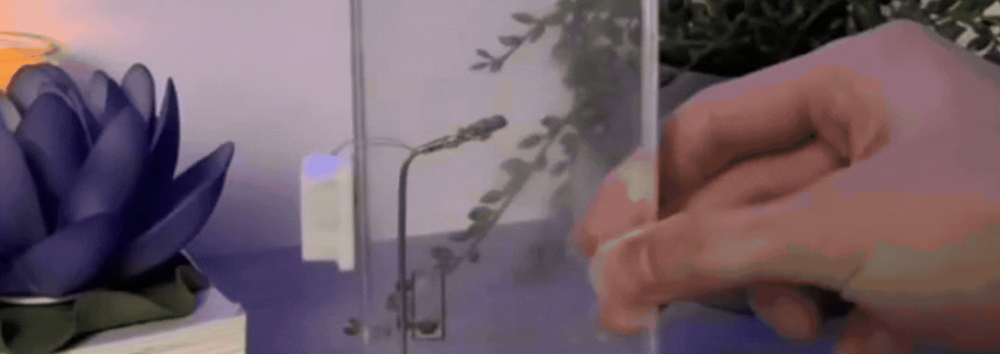 imgpsh_fullsize_anim_-_2024-12-25T054230.351.gif