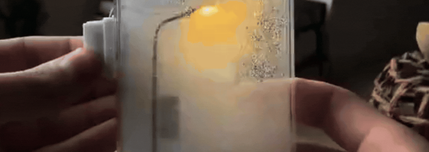 imgpsh_fullsize_anim_-_2024-12-25T054236.679.gif