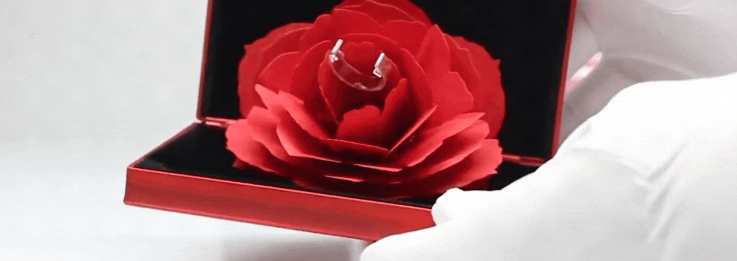 imgpsh_fullsize_anim_2_9c436d4f-6889-4bf7-911b-65e8945b26c7.gif